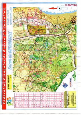 Extrait foret Boyardville001.jpg