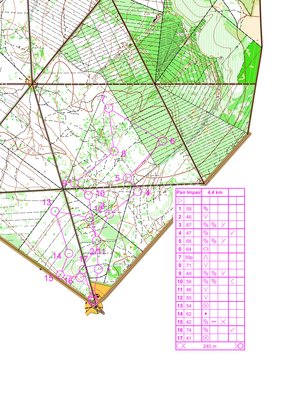 11 janvier pair impair.jpg