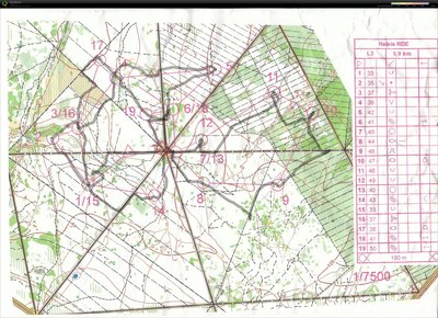 entrainement29112015 qrt.jpg