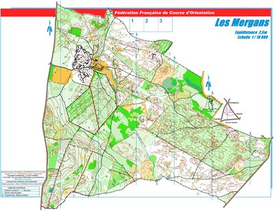 CFC Les Mergans 2013.jpg